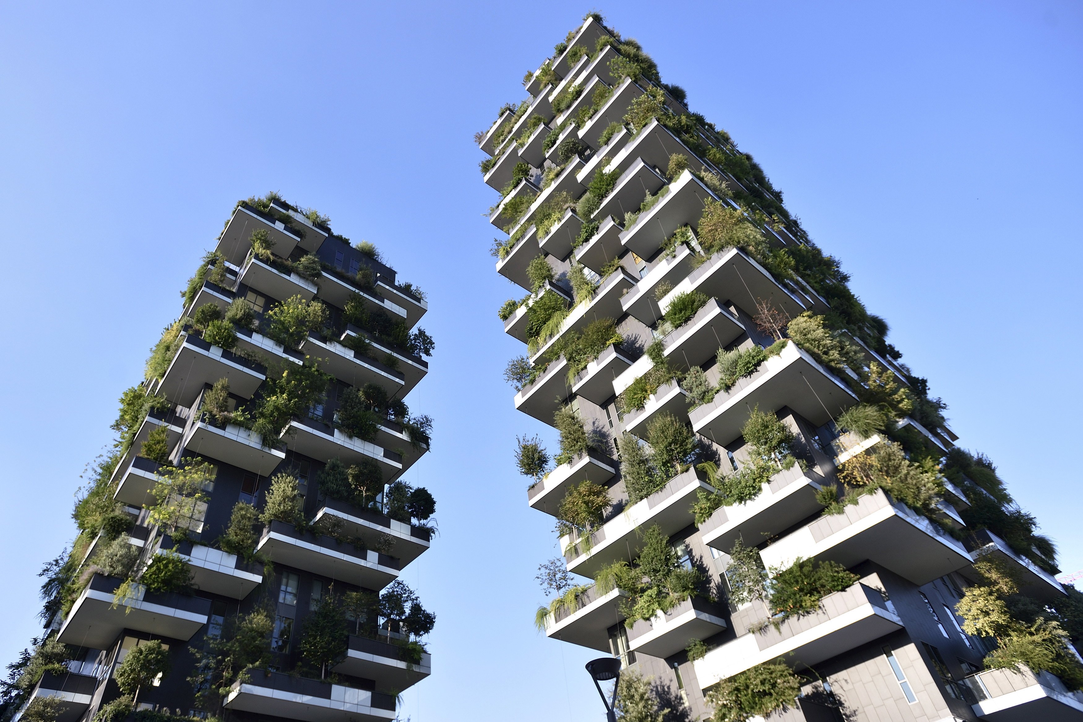 Environmental Sustainability in a Green Architecture Outlook