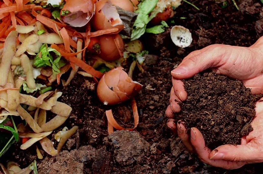 Food Recycling… Am I bothered?